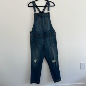 Indigo Blue Denim Maternity Overalls
